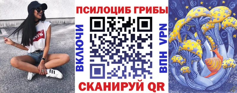 Галлюциногенные грибы Psilocybine cubensis  Купить  Карпинск 